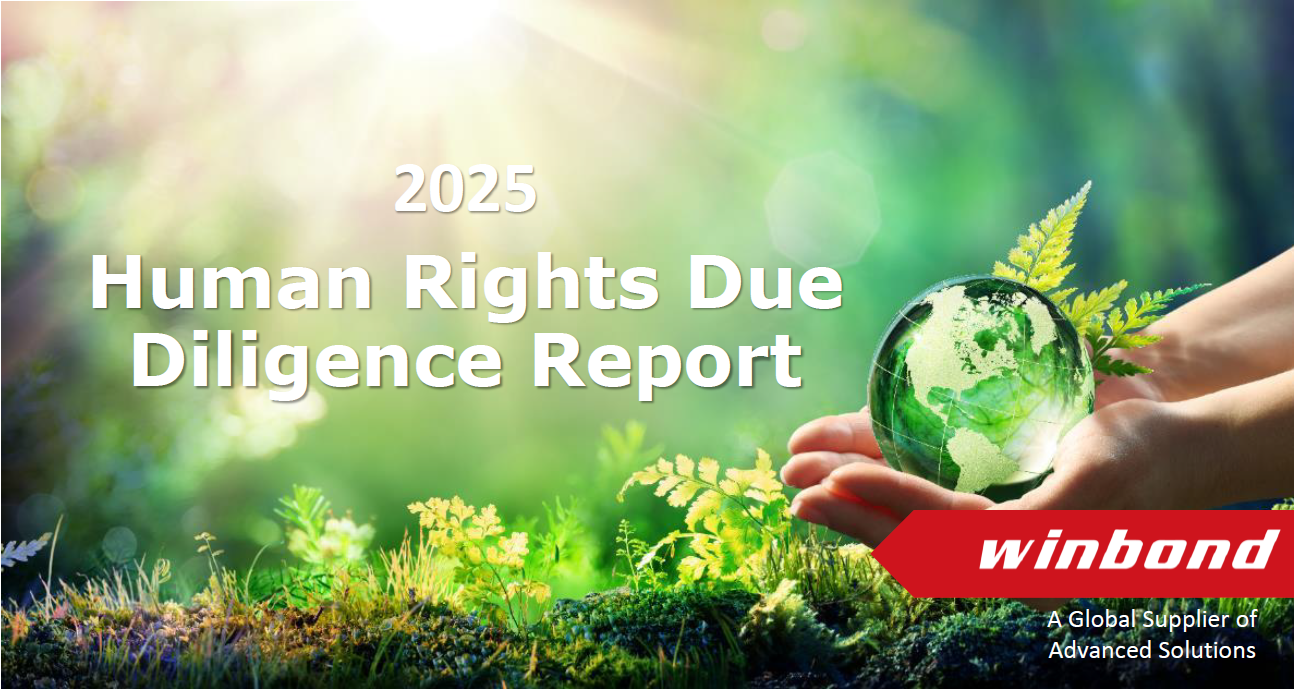 2025 Human Rights Due Diligence Report
